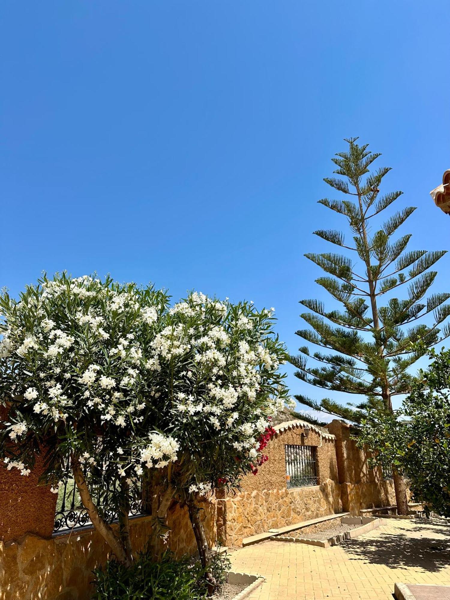 Casa Rural El Pomelo Zurgena Bagian luar foto